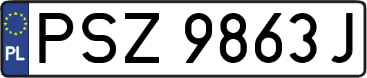 PSZ9863J