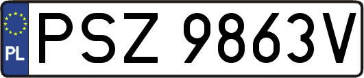 PSZ9863V