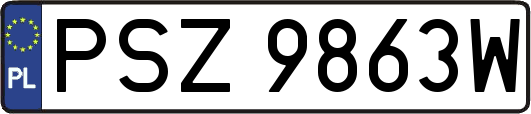 PSZ9863W