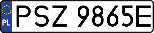 PSZ9865E