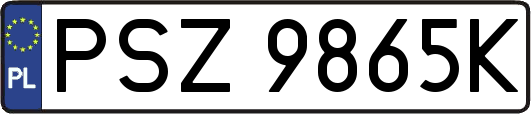 PSZ9865K