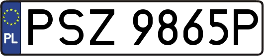PSZ9865P