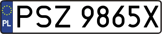 PSZ9865X