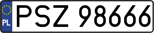 PSZ98666