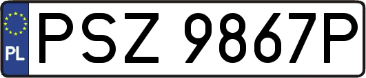 PSZ9867P