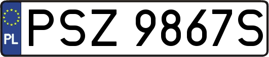 PSZ9867S