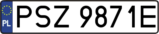 PSZ9871E