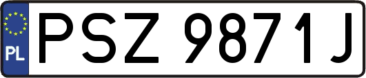 PSZ9871J
