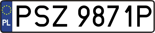 PSZ9871P