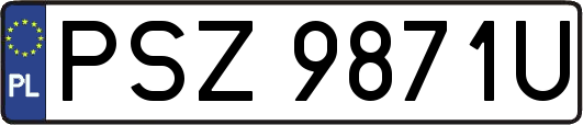 PSZ9871U