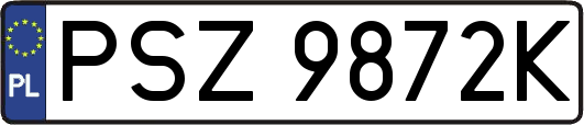 PSZ9872K