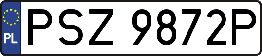 PSZ9872P