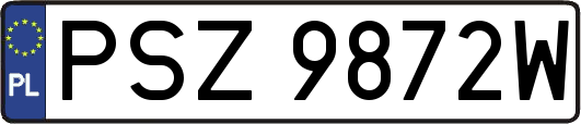 PSZ9872W