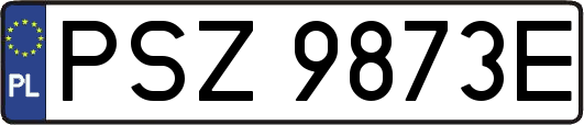 PSZ9873E