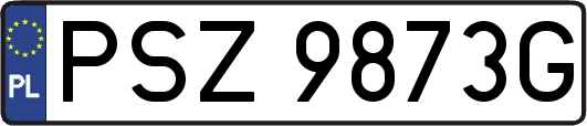 PSZ9873G