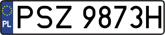PSZ9873H