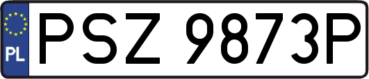 PSZ9873P