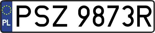 PSZ9873R