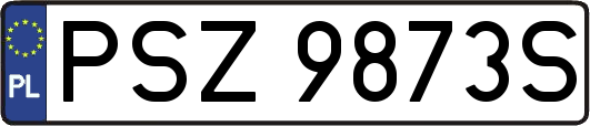 PSZ9873S