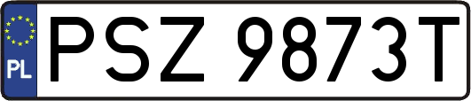 PSZ9873T