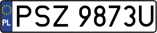 PSZ9873U