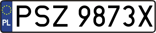 PSZ9873X