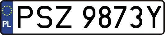 PSZ9873Y