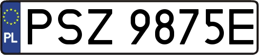 PSZ9875E