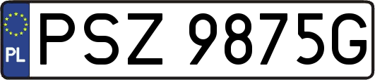 PSZ9875G