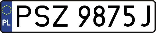 PSZ9875J