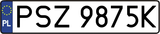 PSZ9875K