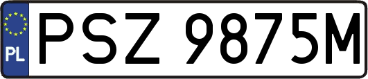 PSZ9875M