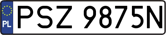 PSZ9875N