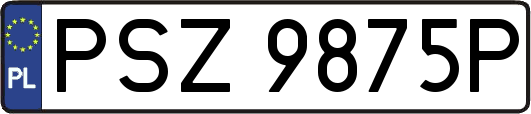 PSZ9875P