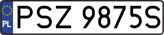 PSZ9875S