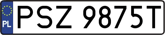 PSZ9875T