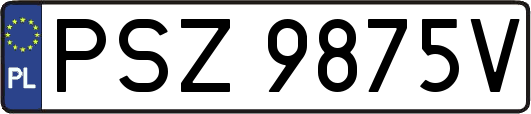 PSZ9875V