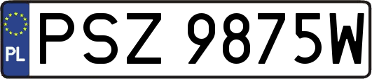 PSZ9875W