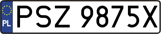 PSZ9875X