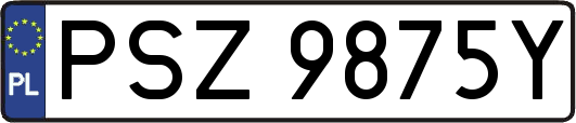 PSZ9875Y