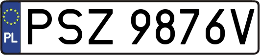 PSZ9876V