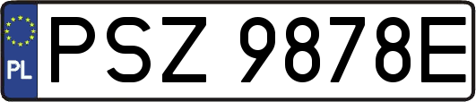 PSZ9878E