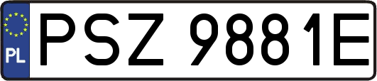 PSZ9881E