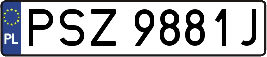 PSZ9881J