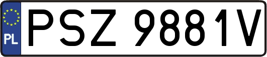 PSZ9881V