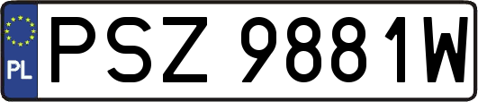 PSZ9881W