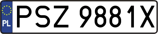 PSZ9881X