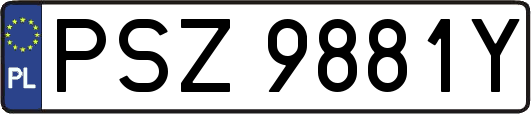 PSZ9881Y