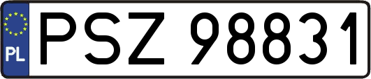 PSZ98831