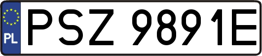 PSZ9891E